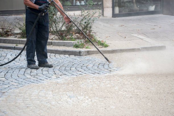 Best Sidewalk and Walkway Cleaning  in Idylwood, VA